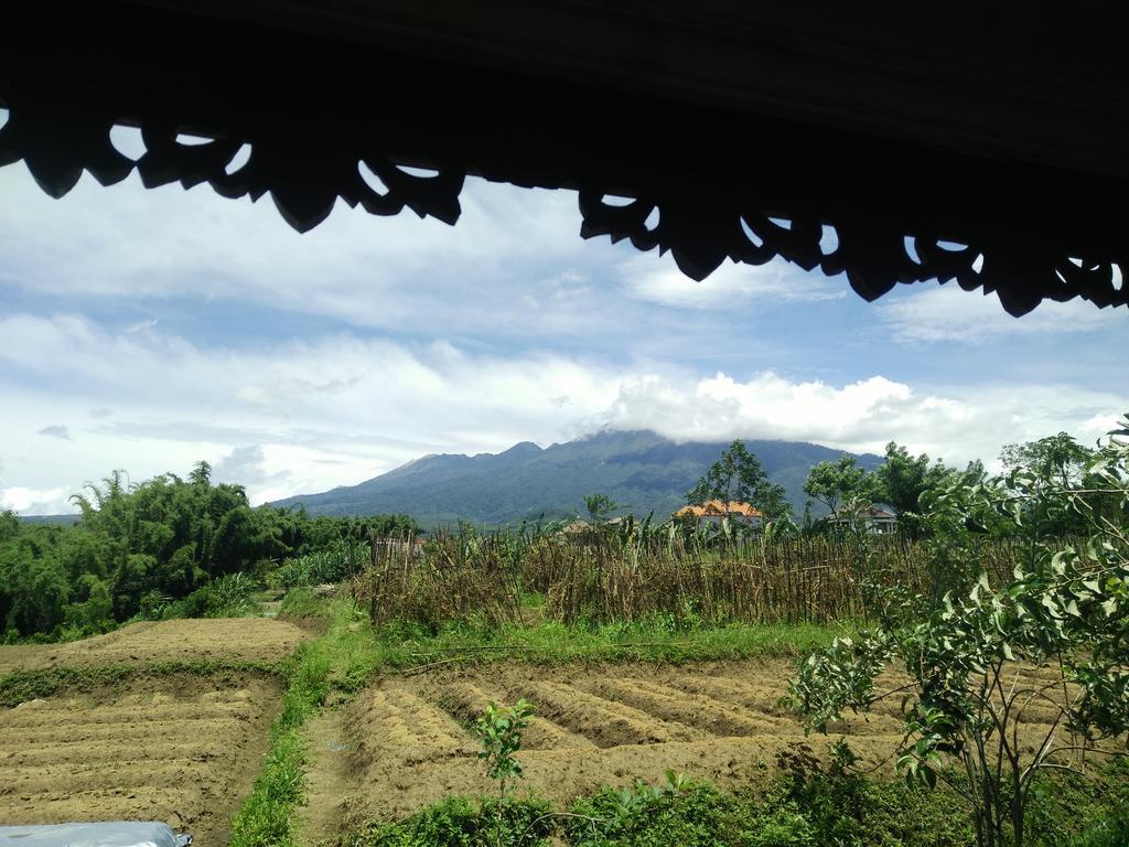 Shanty'S House Batu  Exterior photo